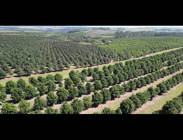 FARM FOR SALE IN PADDOCK